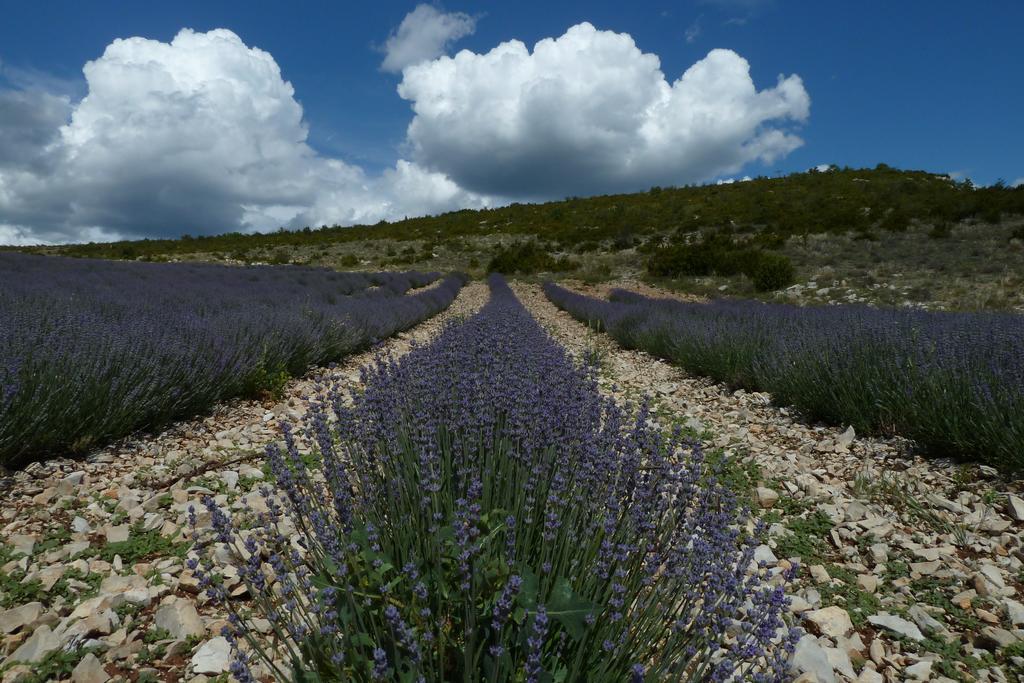 Gites Chameyer Rosans Dış mekan fotoğraf